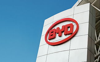 南隼互動(dòng) 深圳網(wǎng)站設(shè)計(jì)與建設(shè)專(zhuān)家，賦能企業(yè)數(shù)字化品牌與電子產(chǎn)品營(yíng)銷(xiāo)